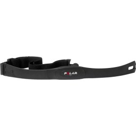 Polar T31